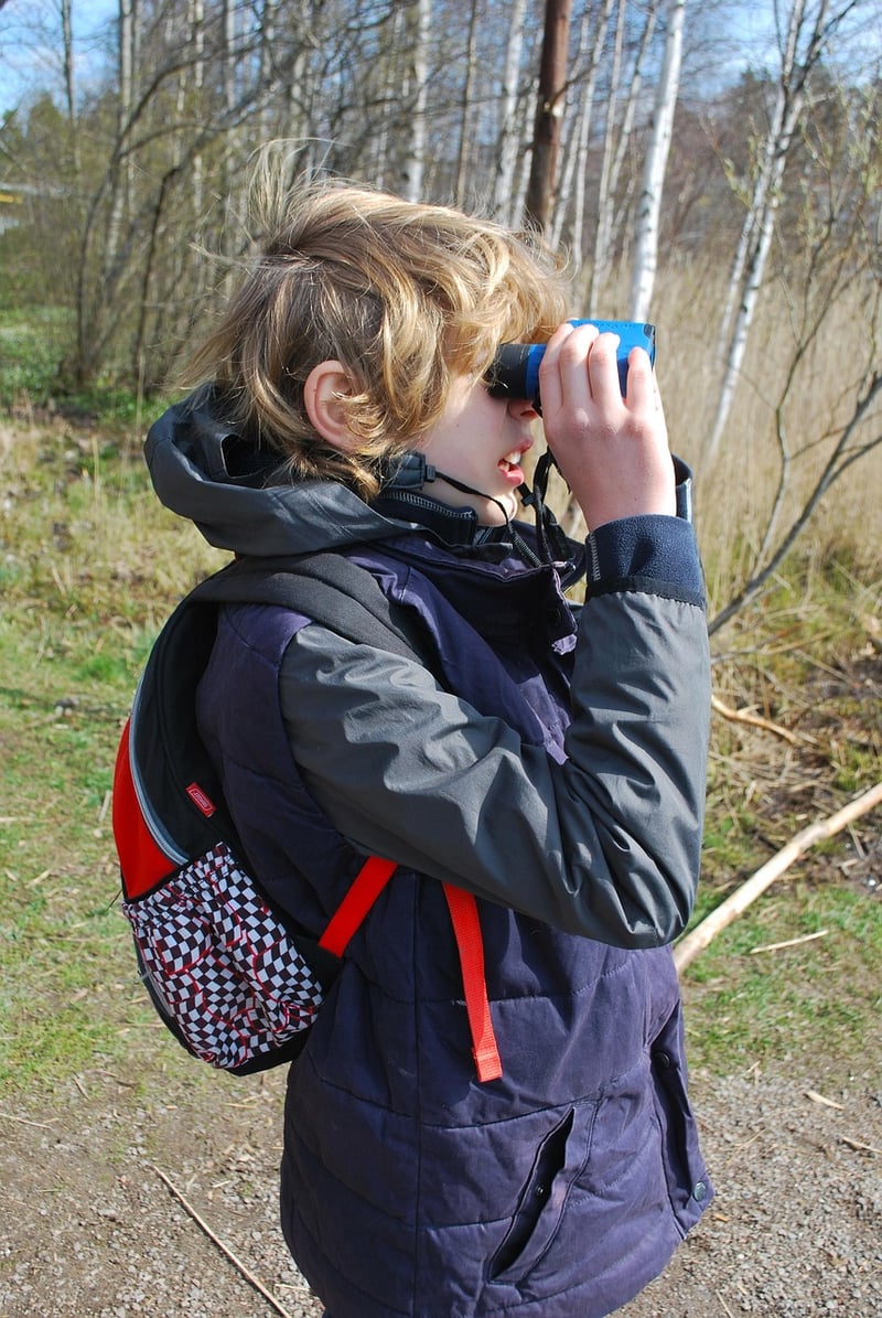 Cardboard tube binoculars craft